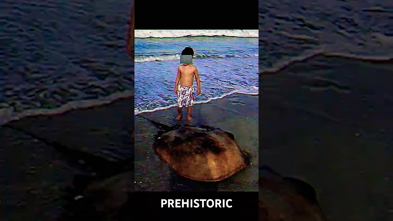 Prehistoric Animals That Still Live On Earth 😨