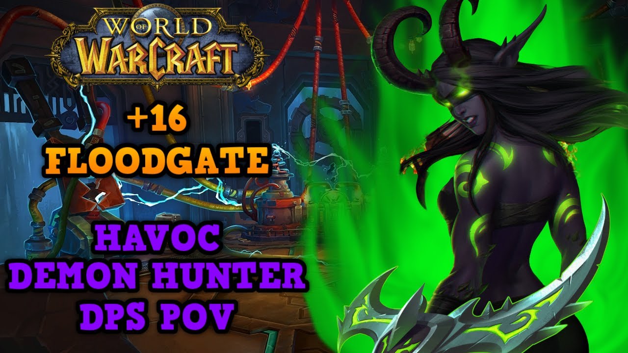 INSANE Damage MEGA Utility! | Havoc DH POV | 0.1% Title (Tempered Hero)
