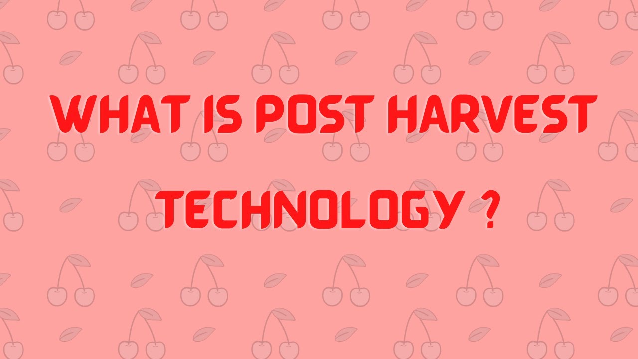 What is Post Harvest Technology  ?
