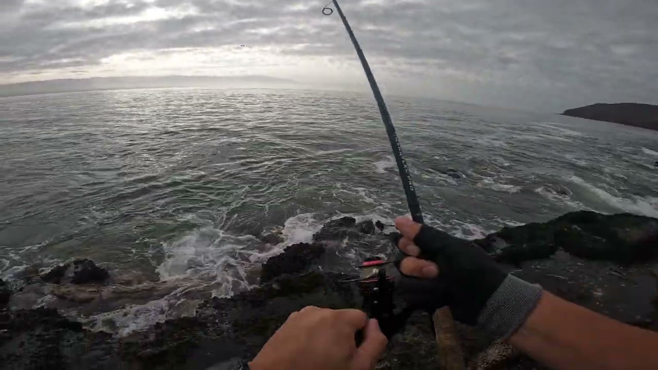 Pesca de bonito en roca | Antofagasta | 6.2 kg