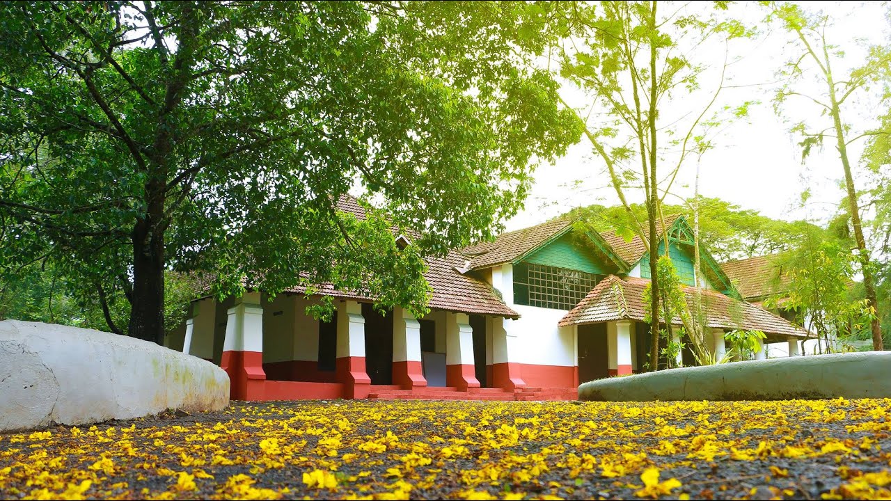 CMS COLLEGE ALBUM DECADE DREAMS D D M