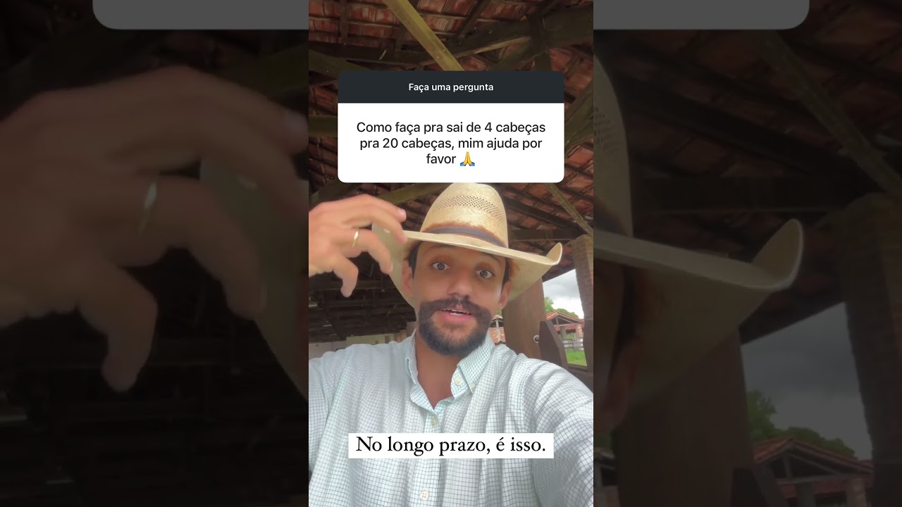 De 4 para 20 Cabe&ccedil;as de Gado: Estrat&eacute;gias Para Crescer R&aacute;pido! #dicas #pecuaria