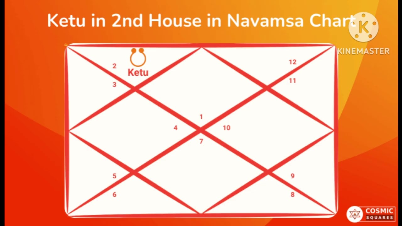 Basics of astrology lal kitab  ketu in all houses 