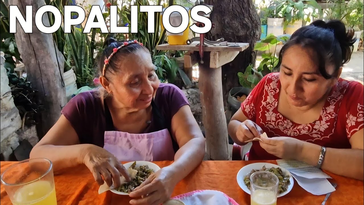 DELICIOSO NOPAL CON CARNE DE RES !!!! PRUEBALO