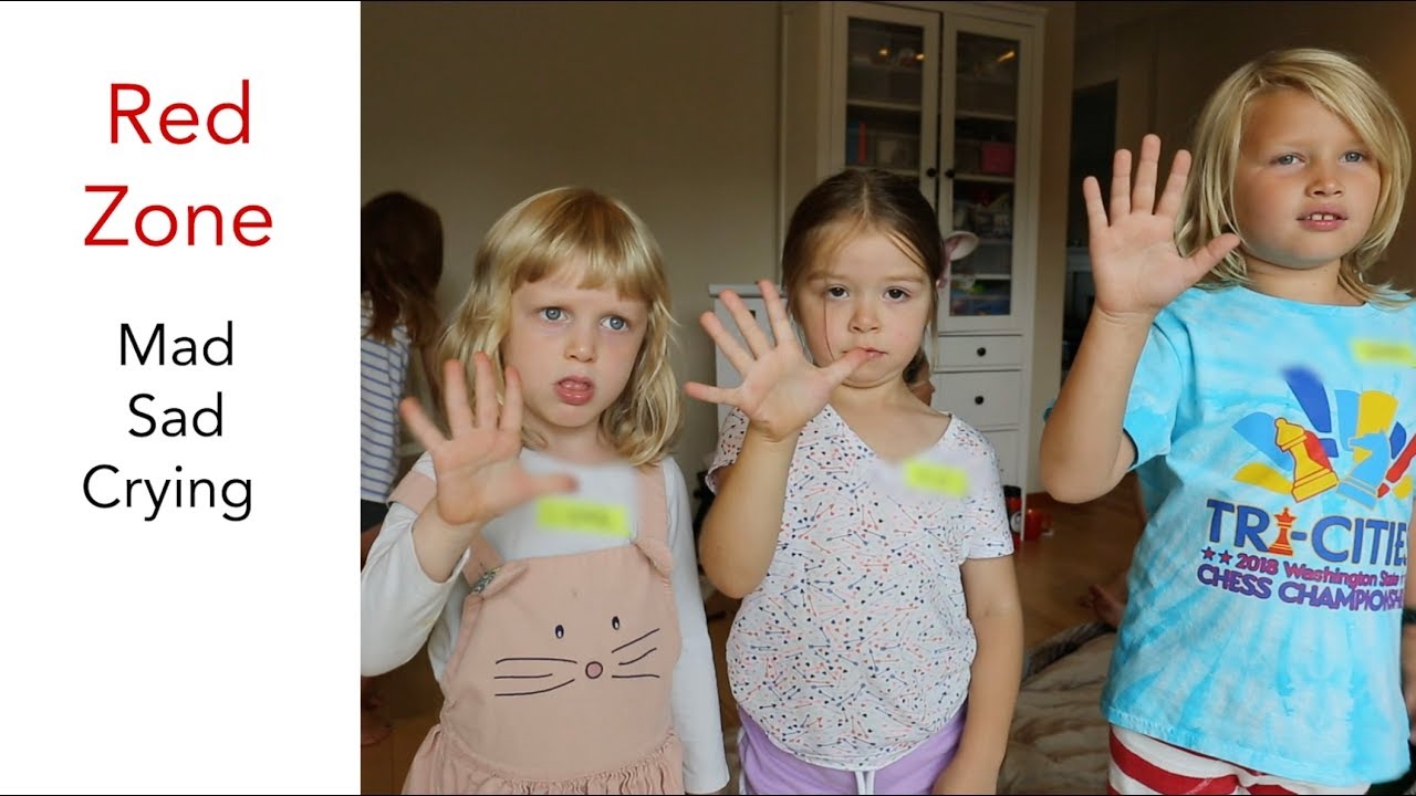 HOW TO teach Brain in the Palm of Hand to kids