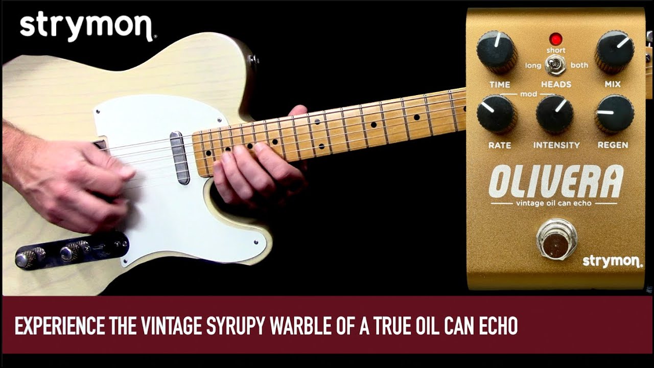 STRYMON OLIVERA Vintage Oil Can Echo