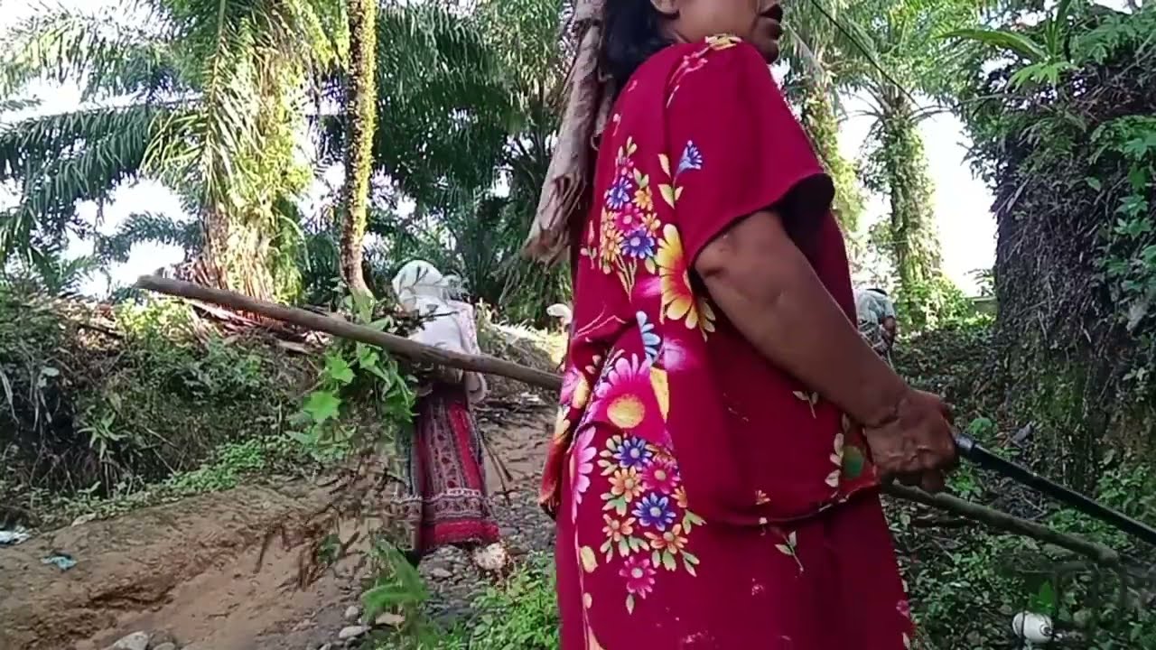 PAGI INI BERKUMPUL DISINI SATU KAMPUNG||INI HASILNYA