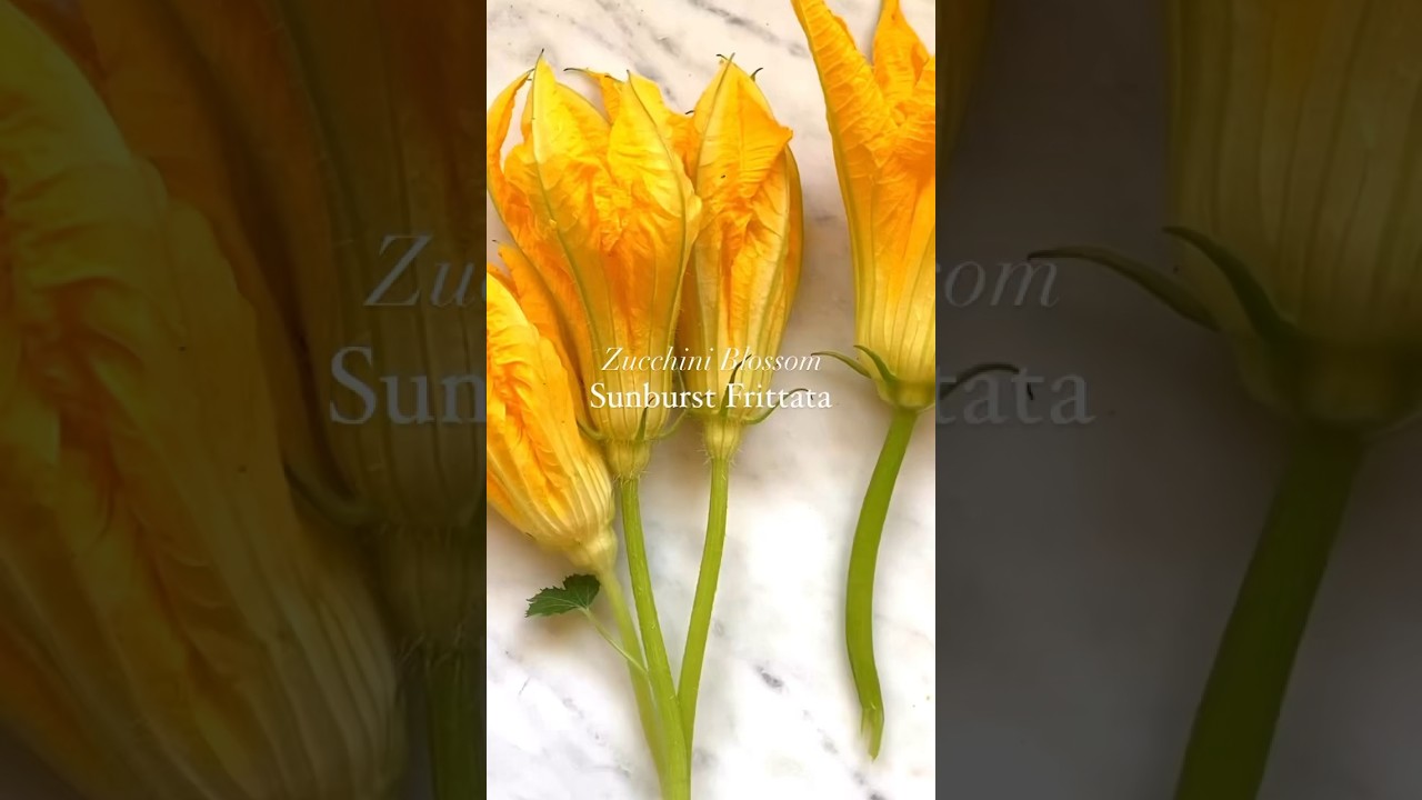 Zucchini Blossom Sunburst Frittata #shorts