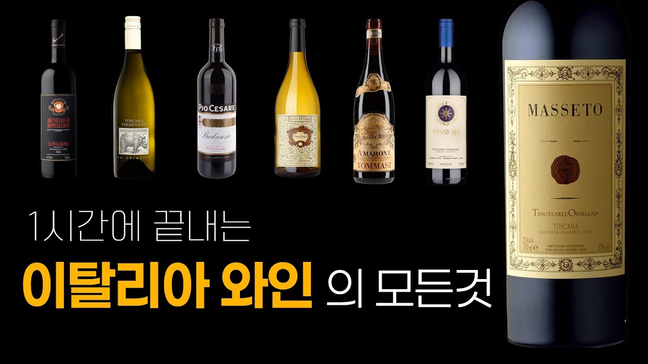 🇮🇹이탈리아 와인의 거의 모든 것 (바롤로, BDM, 끼안티, 아마로네)