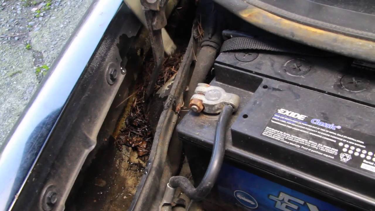 Mercedes 123 Front Water Drain Repeat Alert by Kent Bergsma