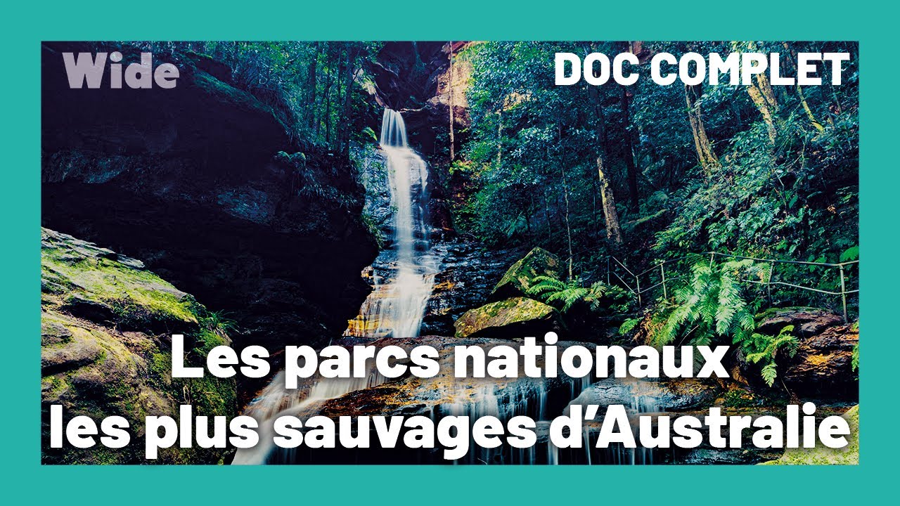 L'île Fraser : la côte majestueuse de l'Australie I WIDE