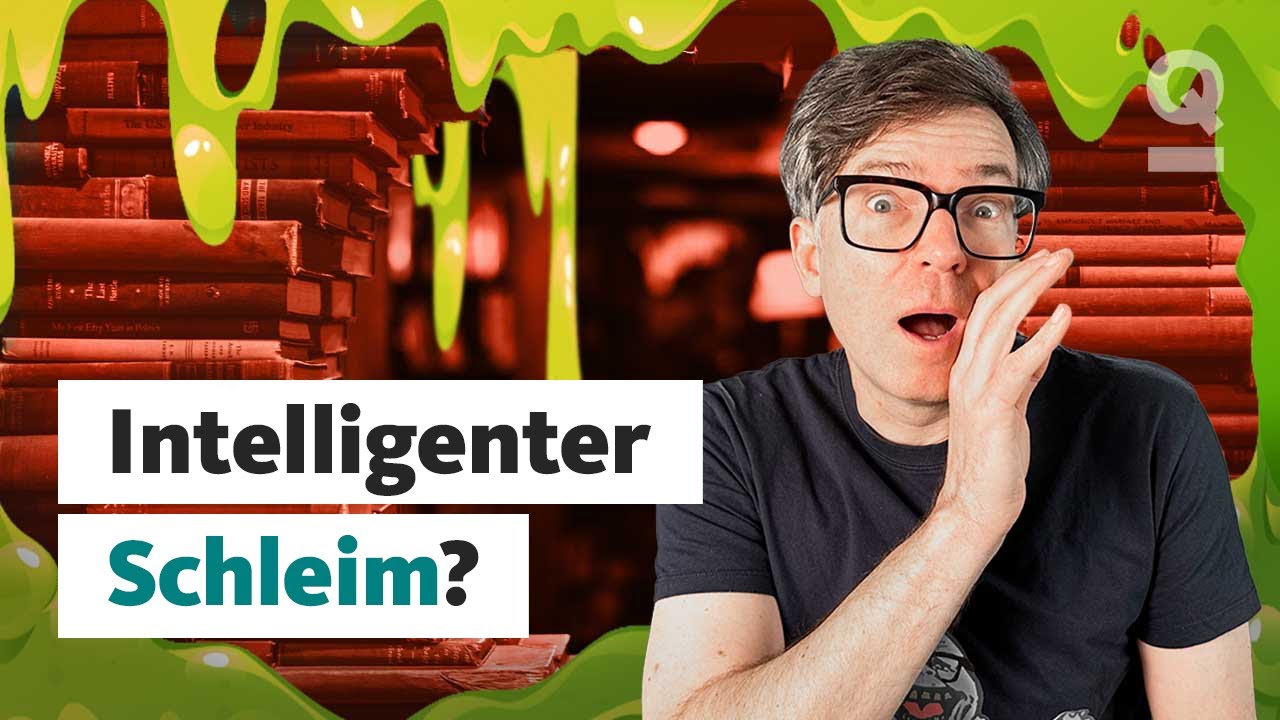 Schlau ohne Hirn – Kann dieser Schleim intelligent sein? | Quarks Dimension Ralph