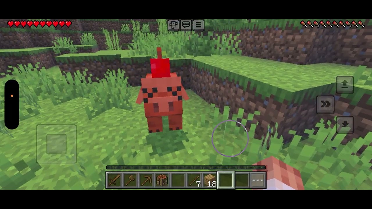 My Minecraft let’s play