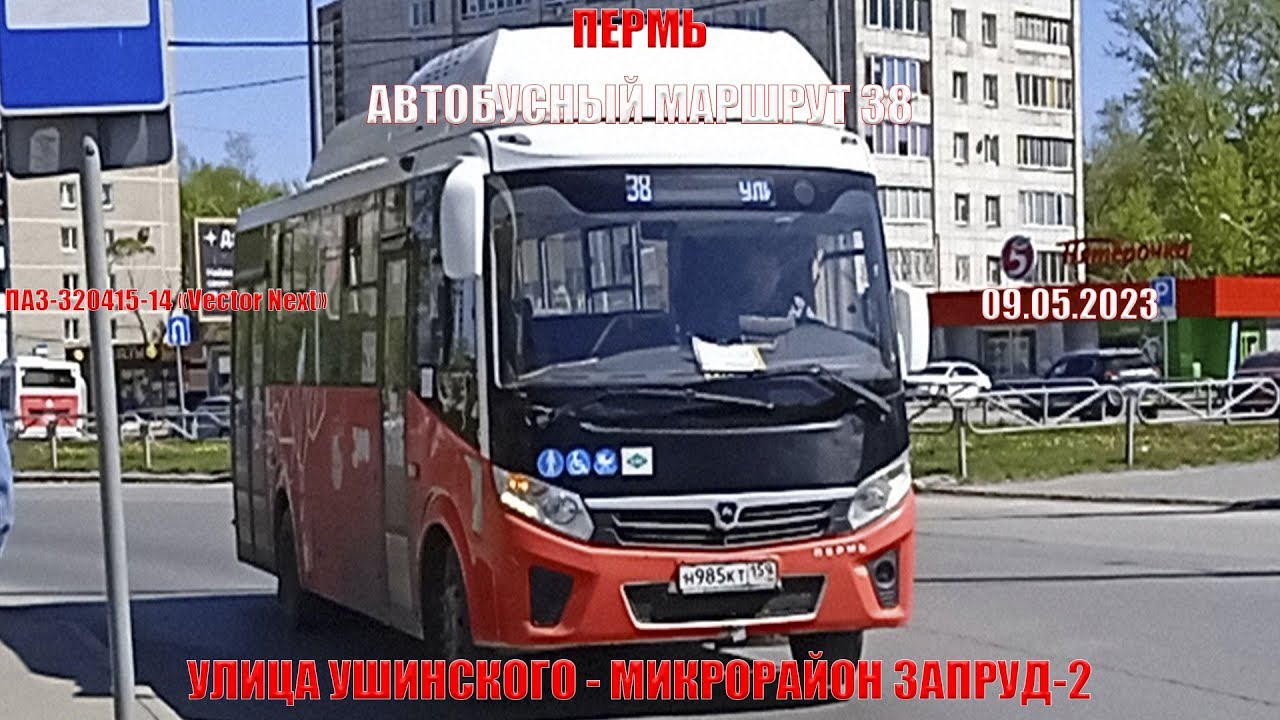 Пермь | Автобусный маршрут 38 | ПАЗ-320415-14 | Улица Ушинского - Микрорайон Запруд-2 | 09.05.2023