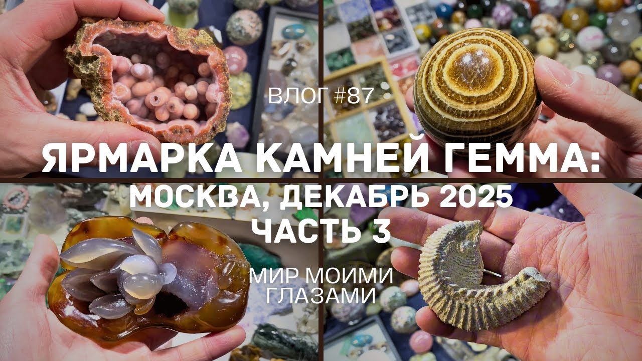 Выставка-ярмарка Гемма - Москва, декабрь 2025. Часть 3.