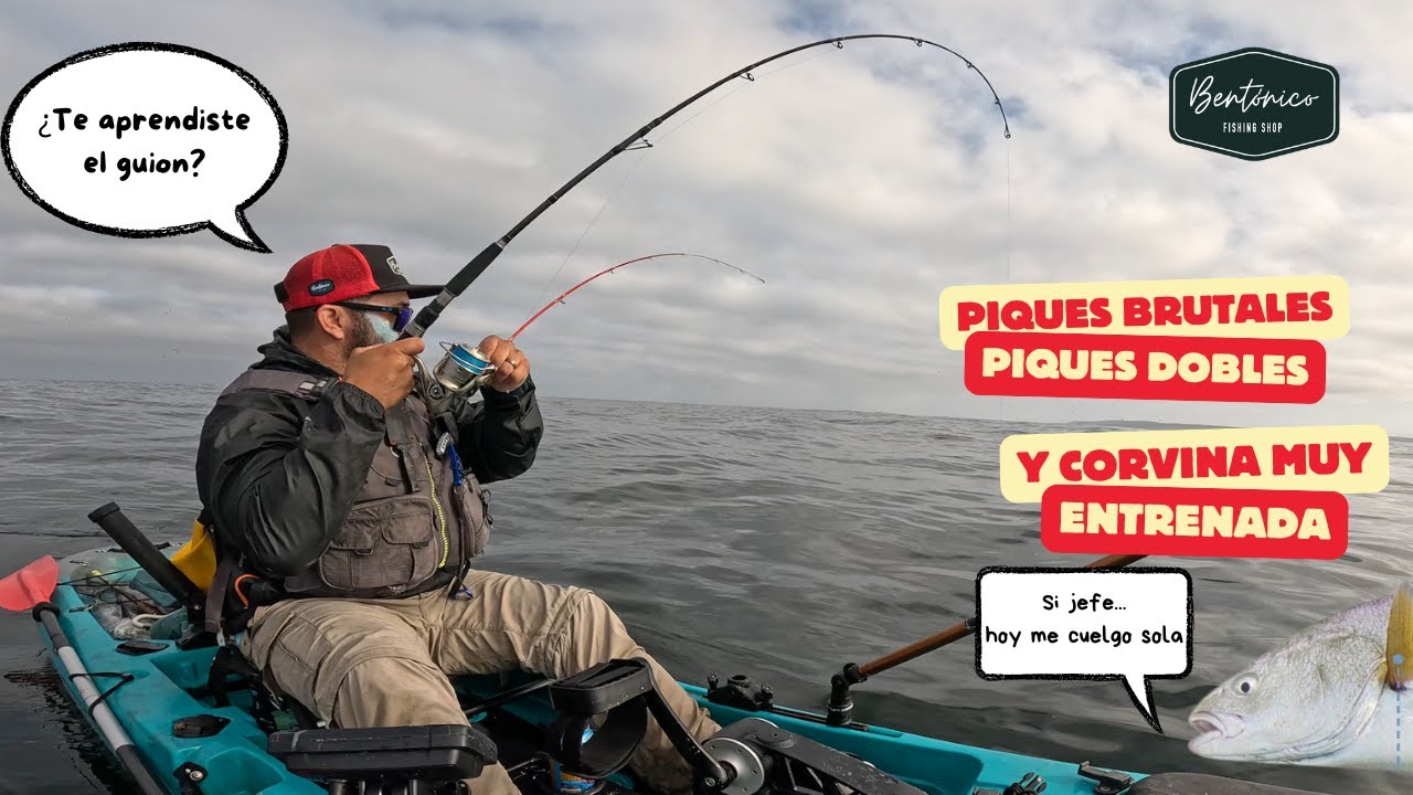 Piques brutales y una corvina  muy  bien entrenada!!!
