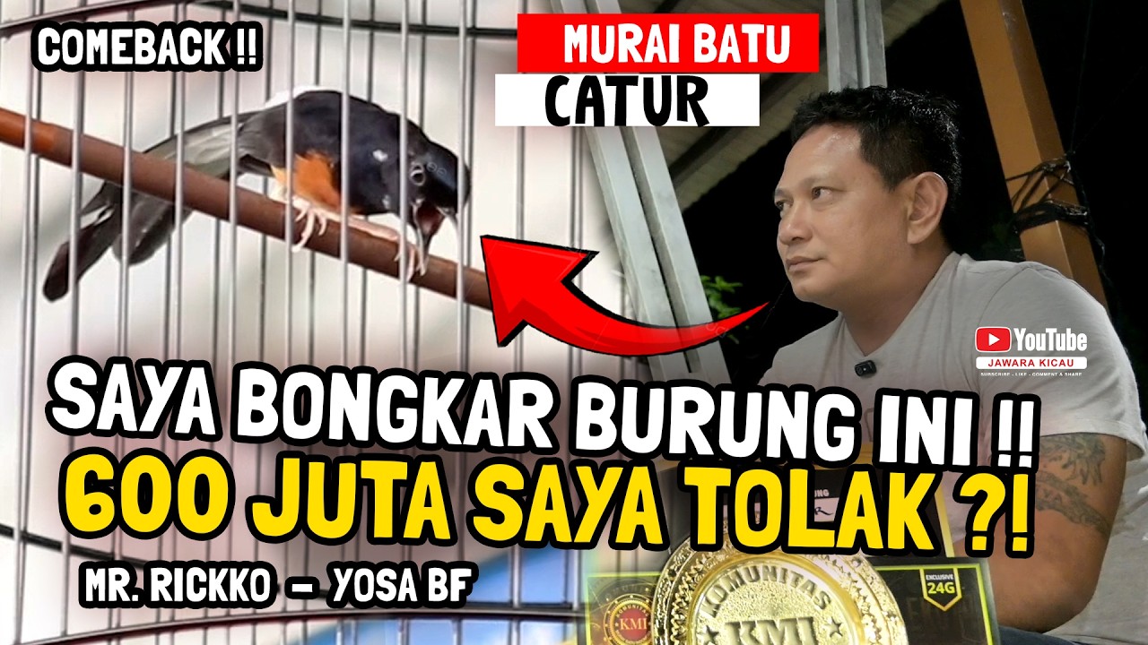 GILAAAAA..‼️600 JUTA SAYA TOLAK ⁉️😱 SAYA BONGKAR MURAI BATU CATUR 🔥YOSA BF - MR.RICKKO