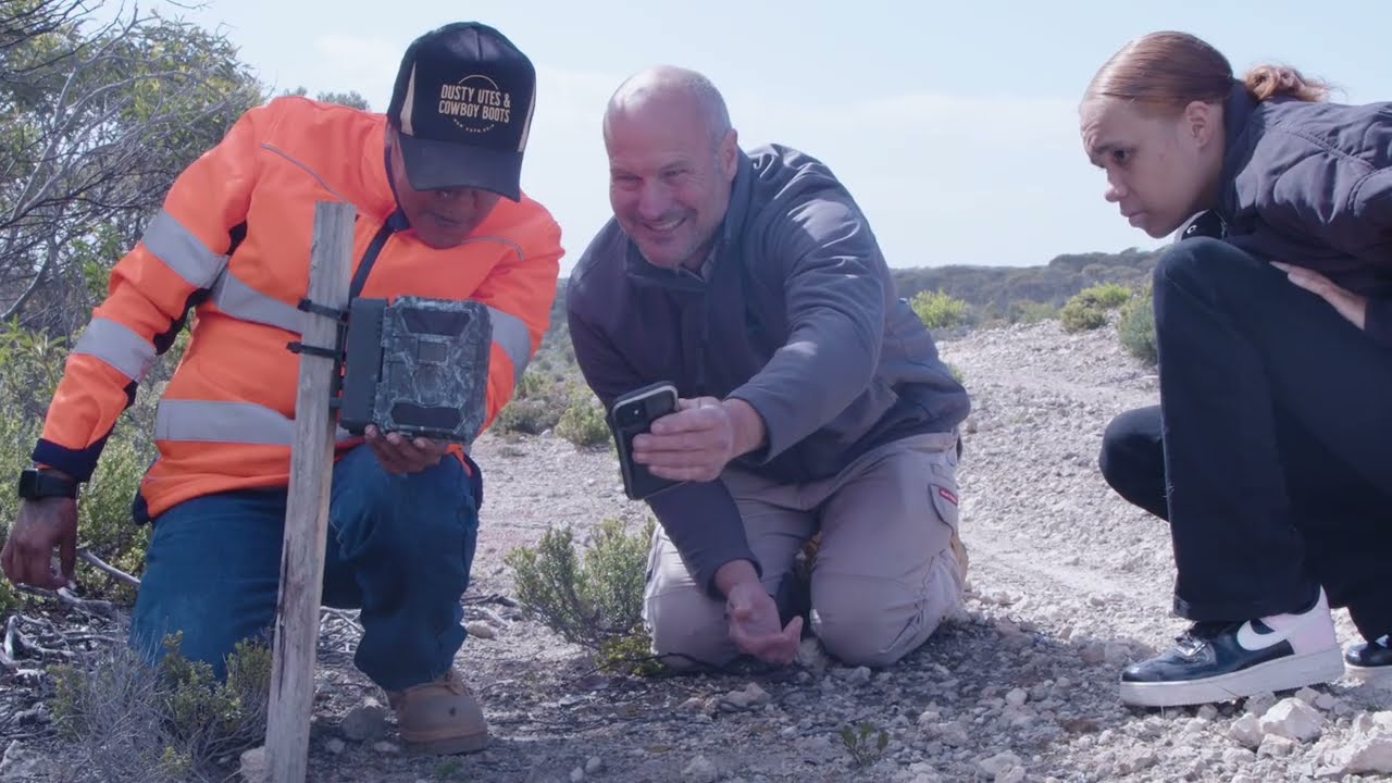 Technology and Tradition: integrating Aboriginal knowledge and cutting-edge feral cat management