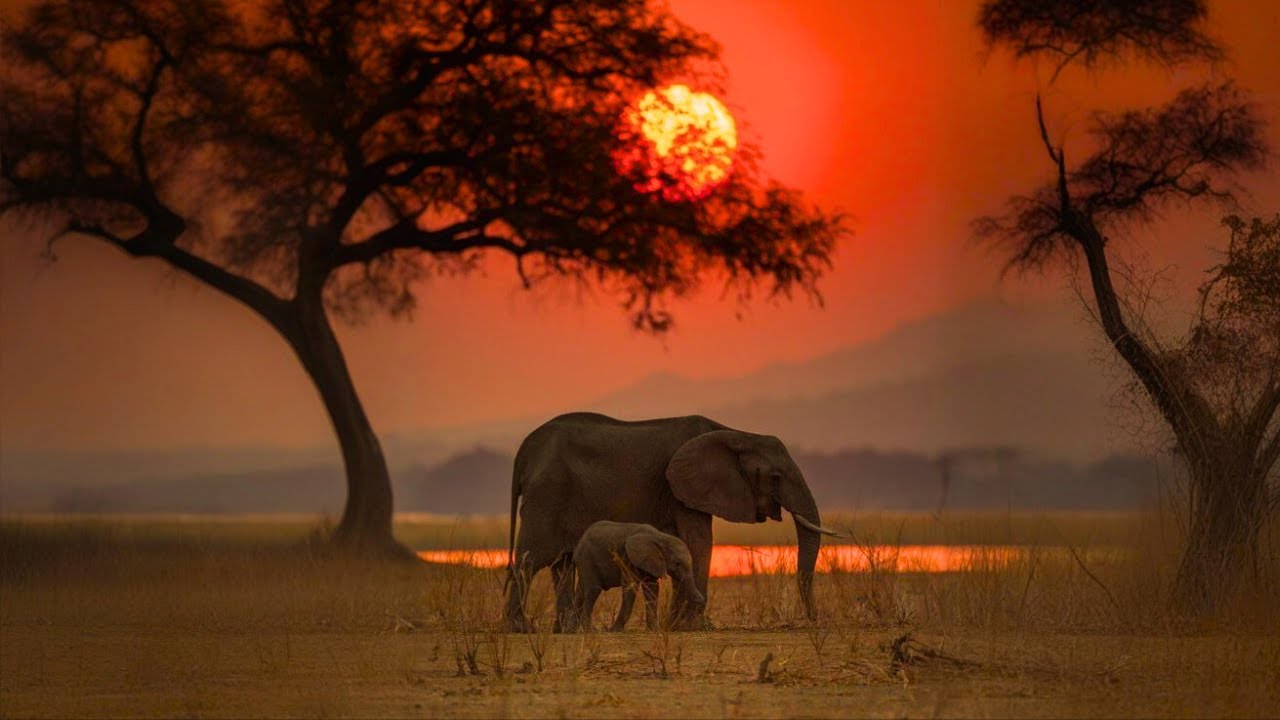 L' AFRICA SI STA RISVEGLIANDO, di Vital Frosi