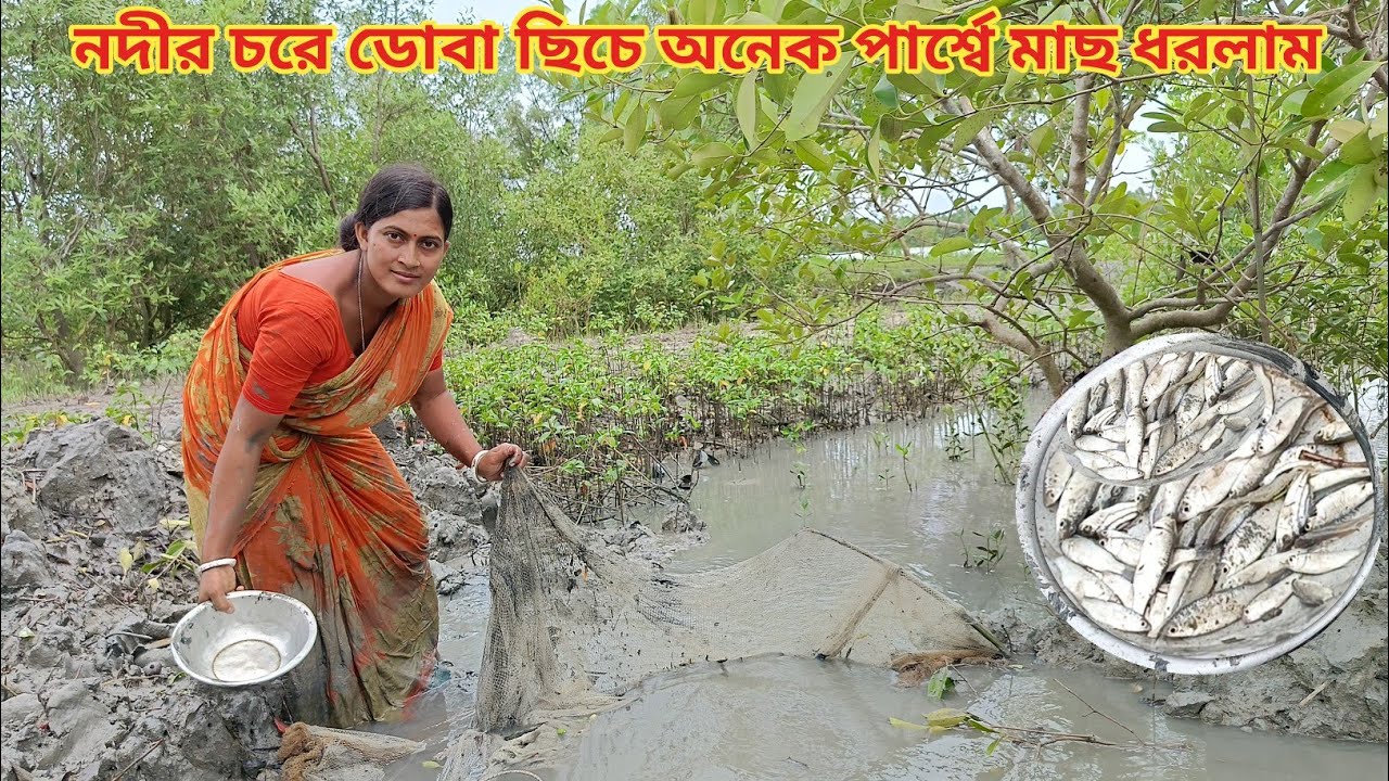 সুন্দরবনের নদীর চরে ডোবা ছিচে অনেক পার্শ্বে মাছ ধরলাম!River fishing || Nandita Sundarban life 