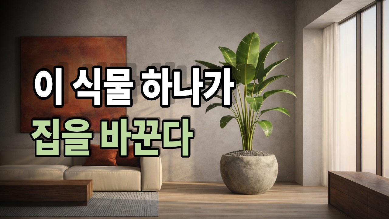 왜 어떤 집은 식물만 놔도 카페처럼 보일까? 인테리어 디자이너만 아는 식물 5가지ㅣ플랜테리어 ㅣ 인테리어 | 집꾸미기 | 공간인테리어