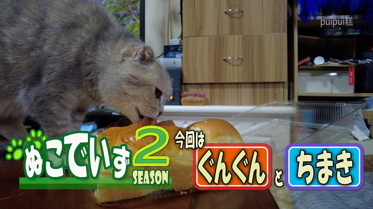 【パン舐めは好きな猫はいませんか｝ひょうめんだけにゃ