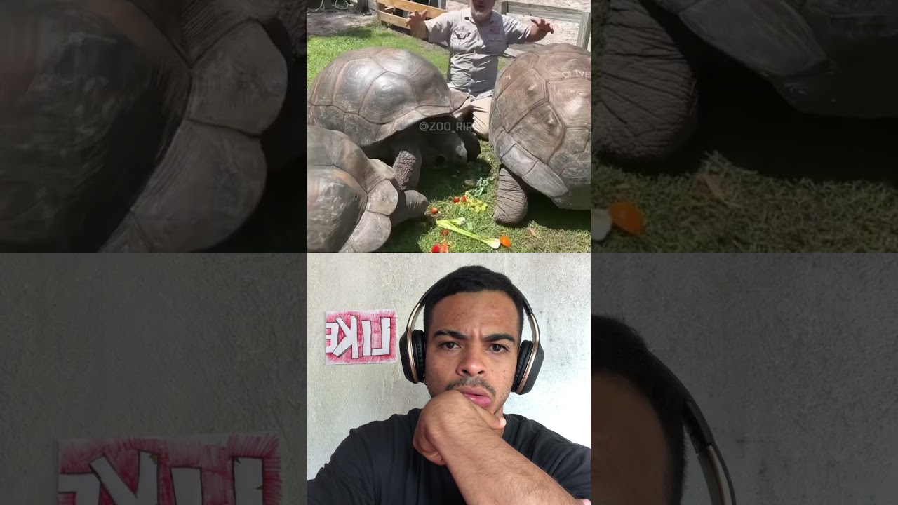 Presta atenção ⚠️