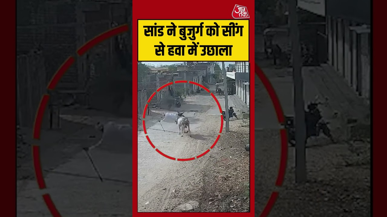 Bull Attack Viral Video | सांड ने बुजुर्ग को सींग से हवा में उछाला | #viralvideo #shorts