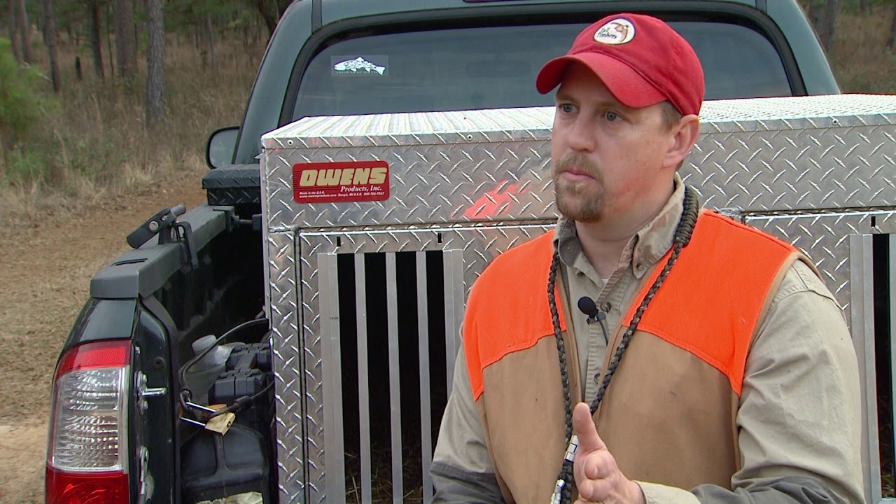Hunting for Georgia&rsquo;s Bobwhite Quail