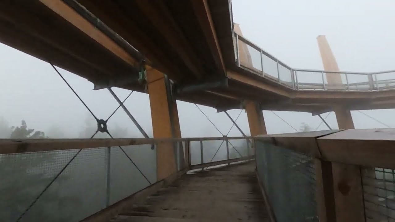 The Malahat Skywalk