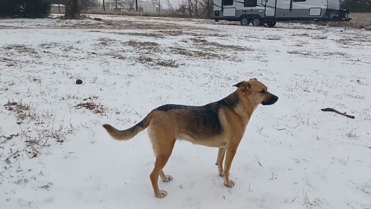 WEATHER REPORT FROM THE GEEZER! BLIZZARD 2026🥶🌧🥶 #Northtexasweather #Cold #Snow #Sleet