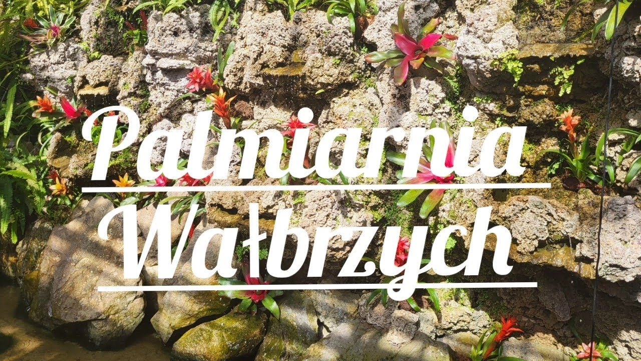 Palmiarnia - Wałbrzych