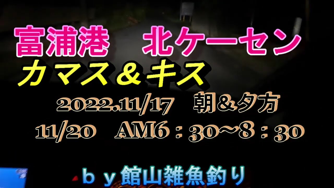 富浦港　北ケーセン　カマス＆キス　2022.11.17　11.20　ｂｙ館山雑魚釣り