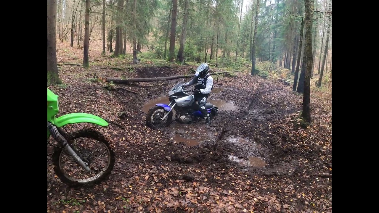 Suzuki XF 650 Freewind