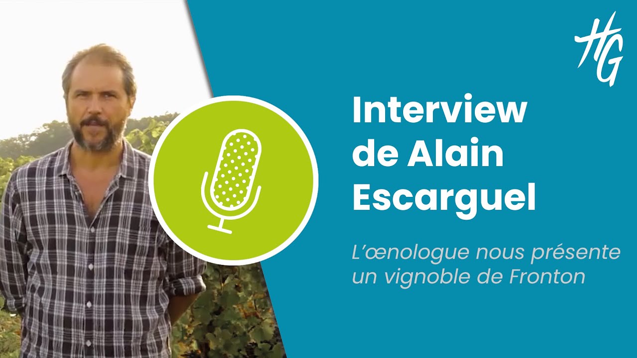 Interview : Alain Escarguel nous présente le vignoble de Fronton