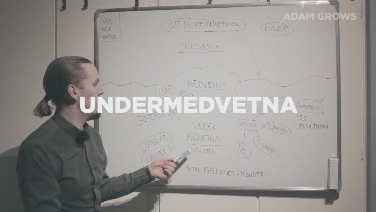 Vad &auml;r det Undermedvetna