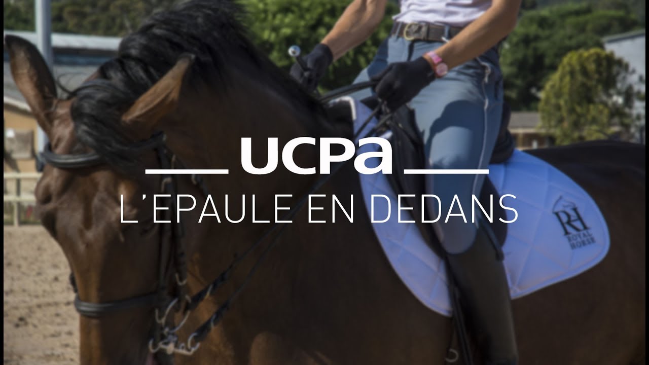 Tutos équitation #10 - Comprendre l'épaule en dedans