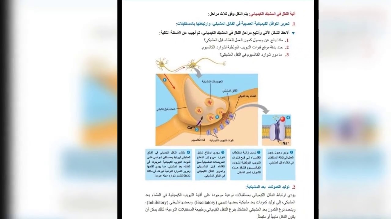 بكالوريا علوم النقل في الأعصاب (2)