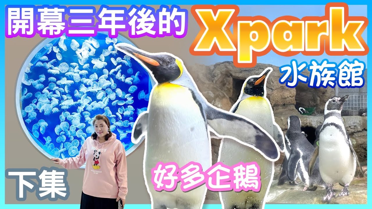 【桃園景點】開幕三年後的「Xpark 水族館」（下集）  Taoyuan Taiwan
