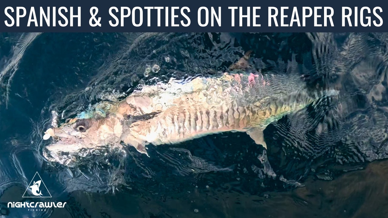 Spanish and Spotties on the Reaper Rig