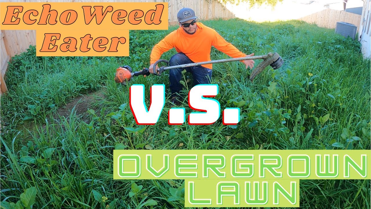 Echo Weed Eater V.S. Overgrown Lawn!! (Oddly Satisfying) 😱