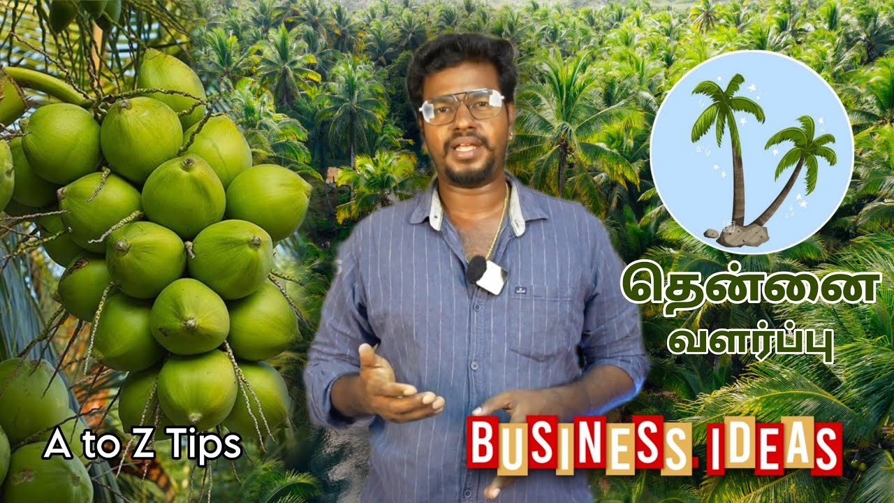 தென்னை வளர்ப்பு, பராமரிப்பு😃 Business-அ   எப்படி பண்ணலாம் Profit of Loss? | Tips