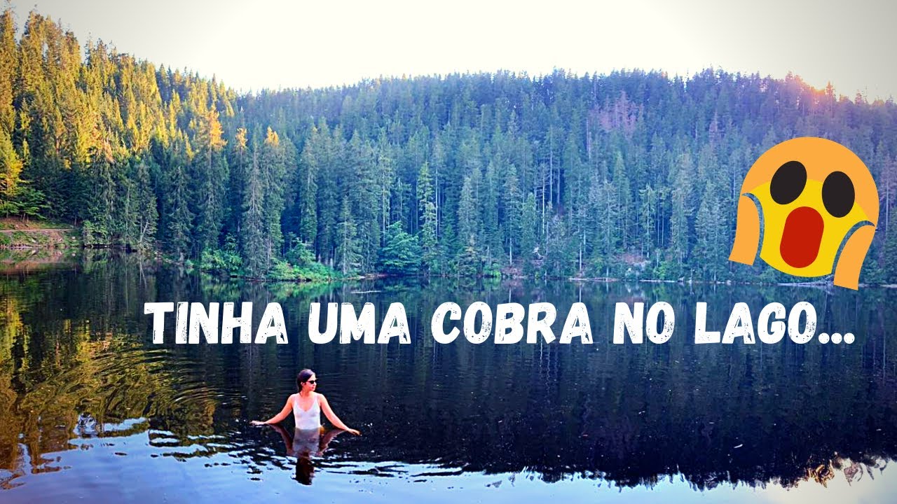 LAGO ESPELHADO E CABANA ABANDONADA NO MEIO DA FLORESTA NEGRA | ROSA FILIPOVIC