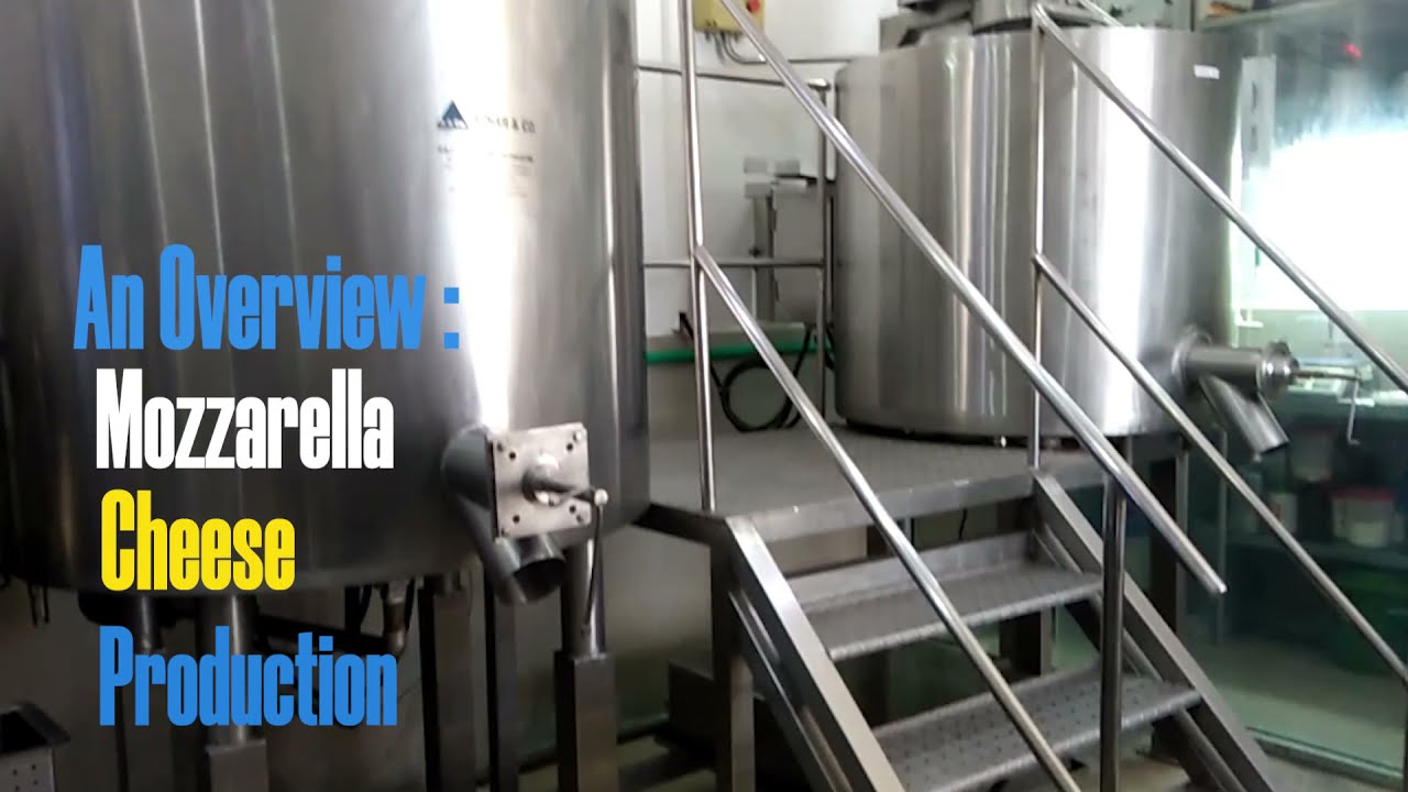 Mozzarella Cheese Production : An Overview | AZHAR & CO | Dairy Machine Manufacturing  in Pakistan