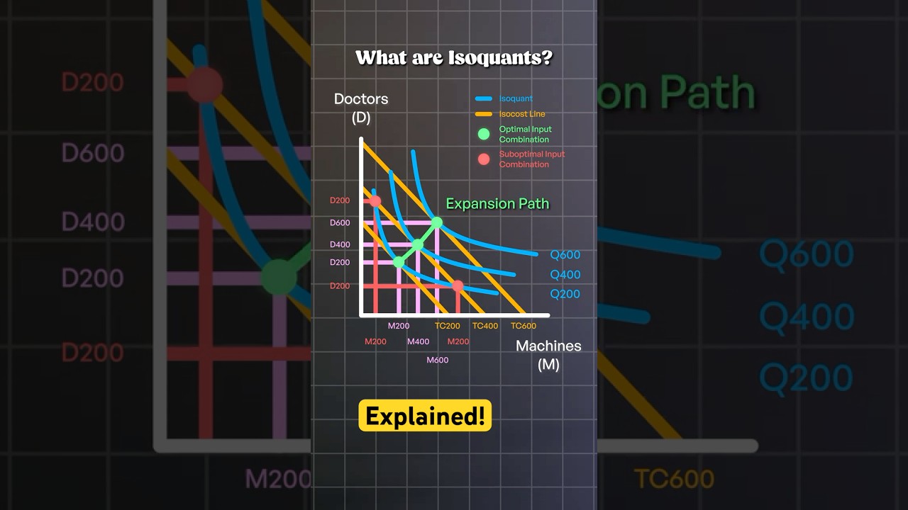 Isoquants Explained: A Healthcare Example