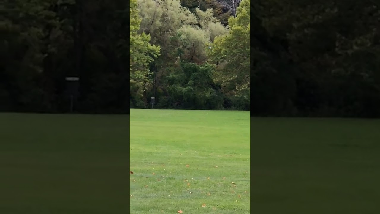 475ft Forehand 😤 | Champion Wraith #shorts #discgolf #discgolfer #fypシ  #discgolfeveryday #frisbee