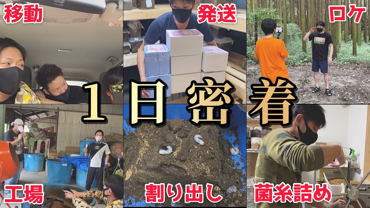 クワカブ業界に人生を賭けた男の生き様・・・