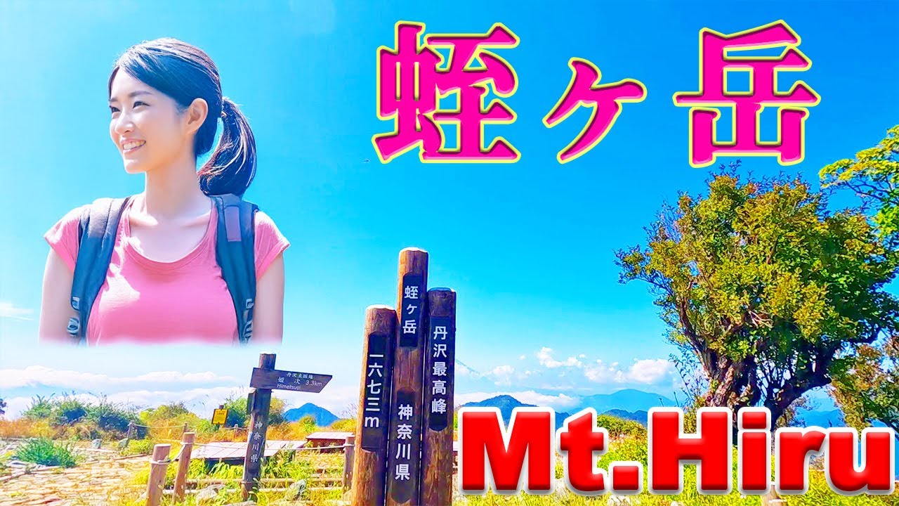 蛭ヶ岳山荘のヒルカレーとは？青根登山口ルート日帰りピストンの難易度