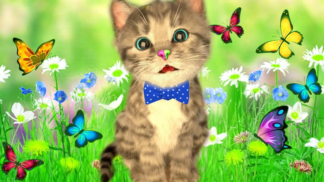CUTE KITTEN LITTLE CAT ADVENTURE GAMEPLAY - PLAY KITTY PRESCHOOL EDUCATIONAL FUN TIME VIDEOS FOR KID