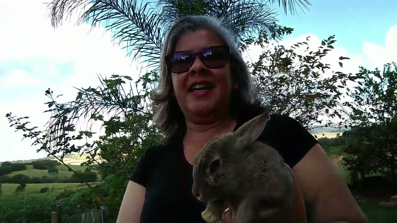 Deixei  meu coelho sozinho por quatro dias e quatro noites, olhem o que aconteceu